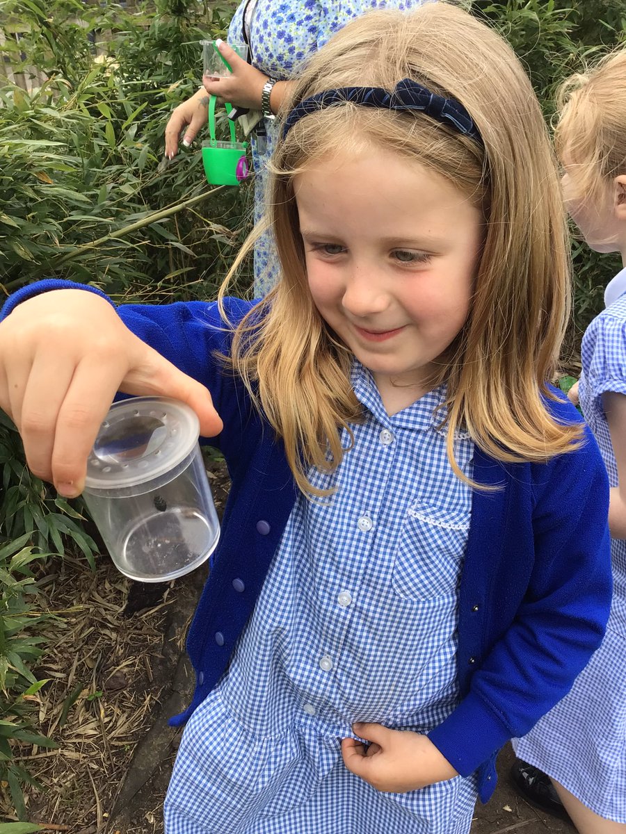Canon_Reception's tweet image. Reception are exploring our outdoor area in search for minibeasts! 🔍🪲🐌🪱🕷️🦋🐞 @Cornerstonesedu #CreepCrawlandWriggle #EYFS @LT_Trust @CanonSharples #cspsscience