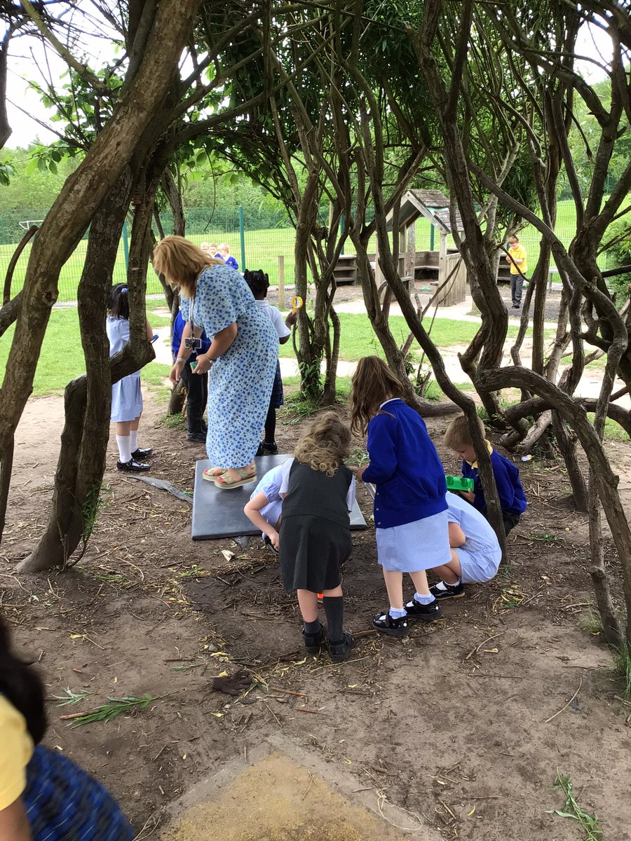 Reception are exploring our outdoor area in search for minibeasts! 🔍🪲🐌🪱🕷️🦋🐞 @Cornerstonesedu #CreepCrawlandWriggle #EYFS @LT_Trust @CanonSharples #cspsscience