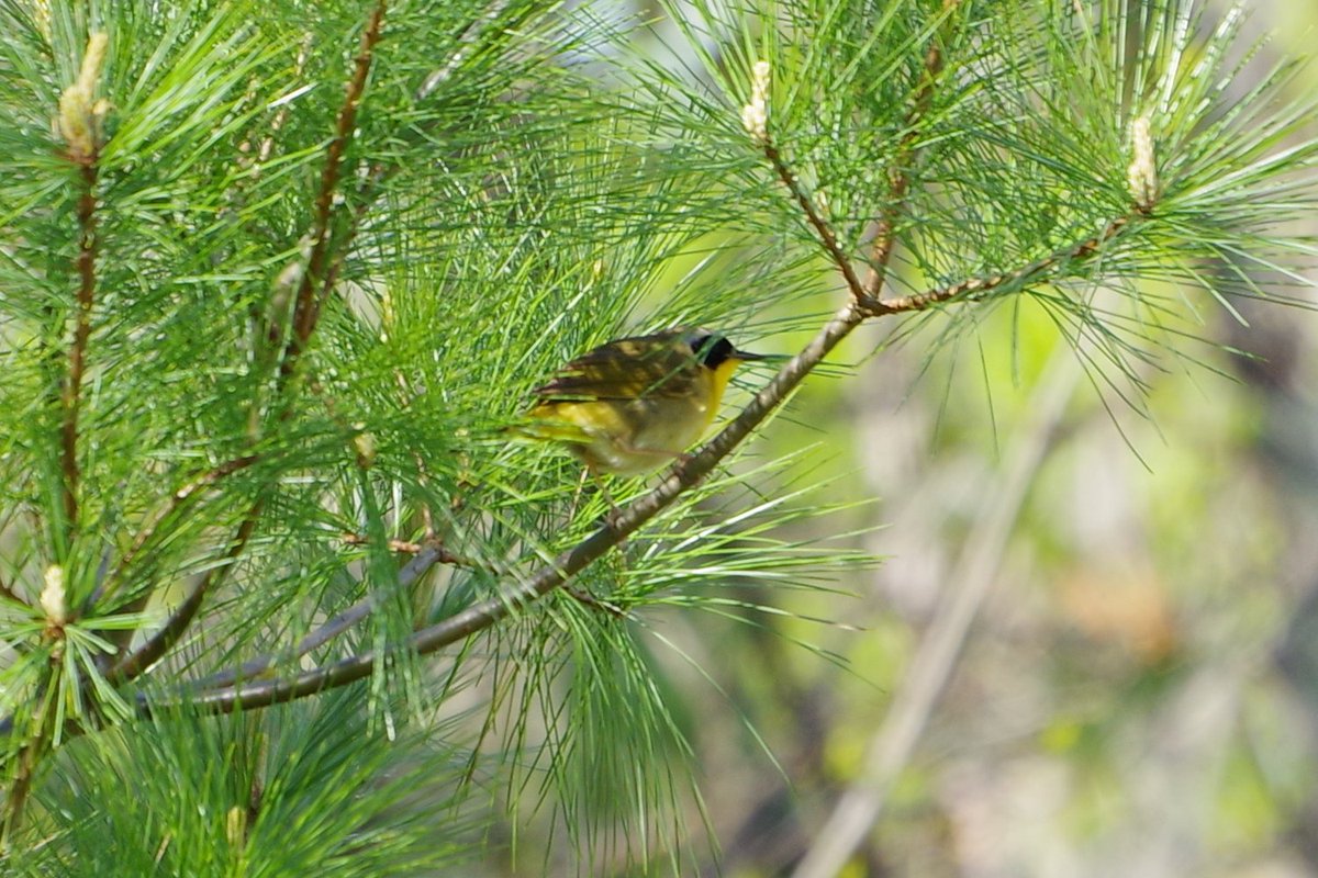 JLClarke tweet media