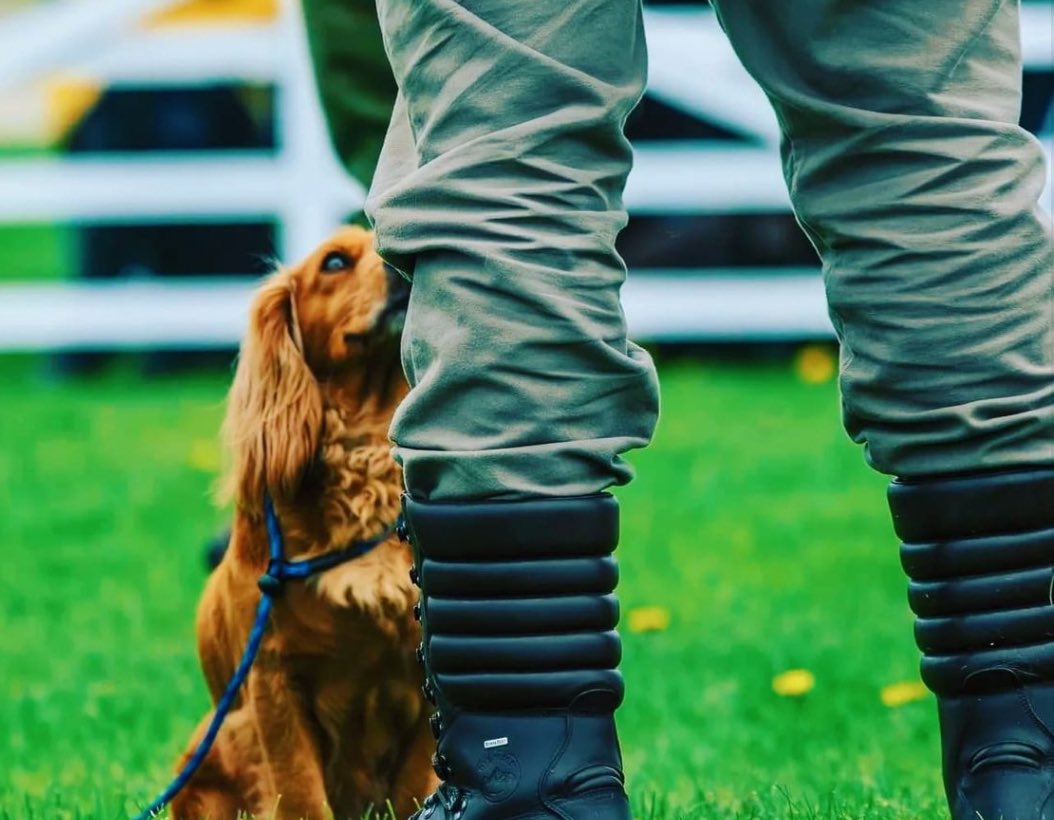 NEW for 2024... <a href="/DLK_spaniels/">Kirkbourne spaniels</a> - classes that you can get involved with and demonstrations! 

Darren Kirk has been training Gun dogs for over 30 years and has the experience to get you and your dog to a standard you can be proud of, on Saturday and Sunday.