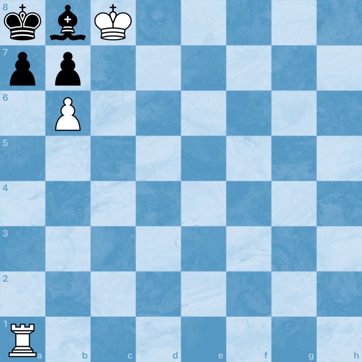 Cécile Haussernot tweet media