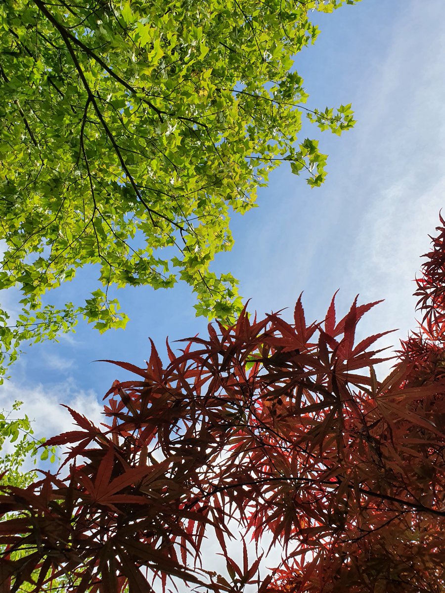 Here and now... #mindfulness #MentalHealthAwareness  #MentalHealthAwarenessWeek2024