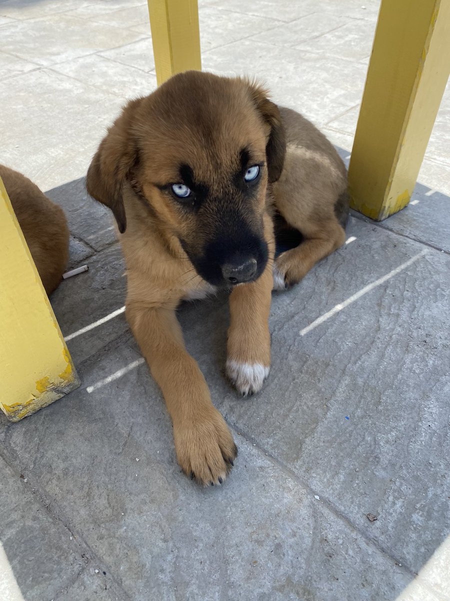 Beni niye istemediniz? Ben sizin bi taneniz değil miyim?? Yoksa ben sizin sıfır taneniz miyim 🥲🥲