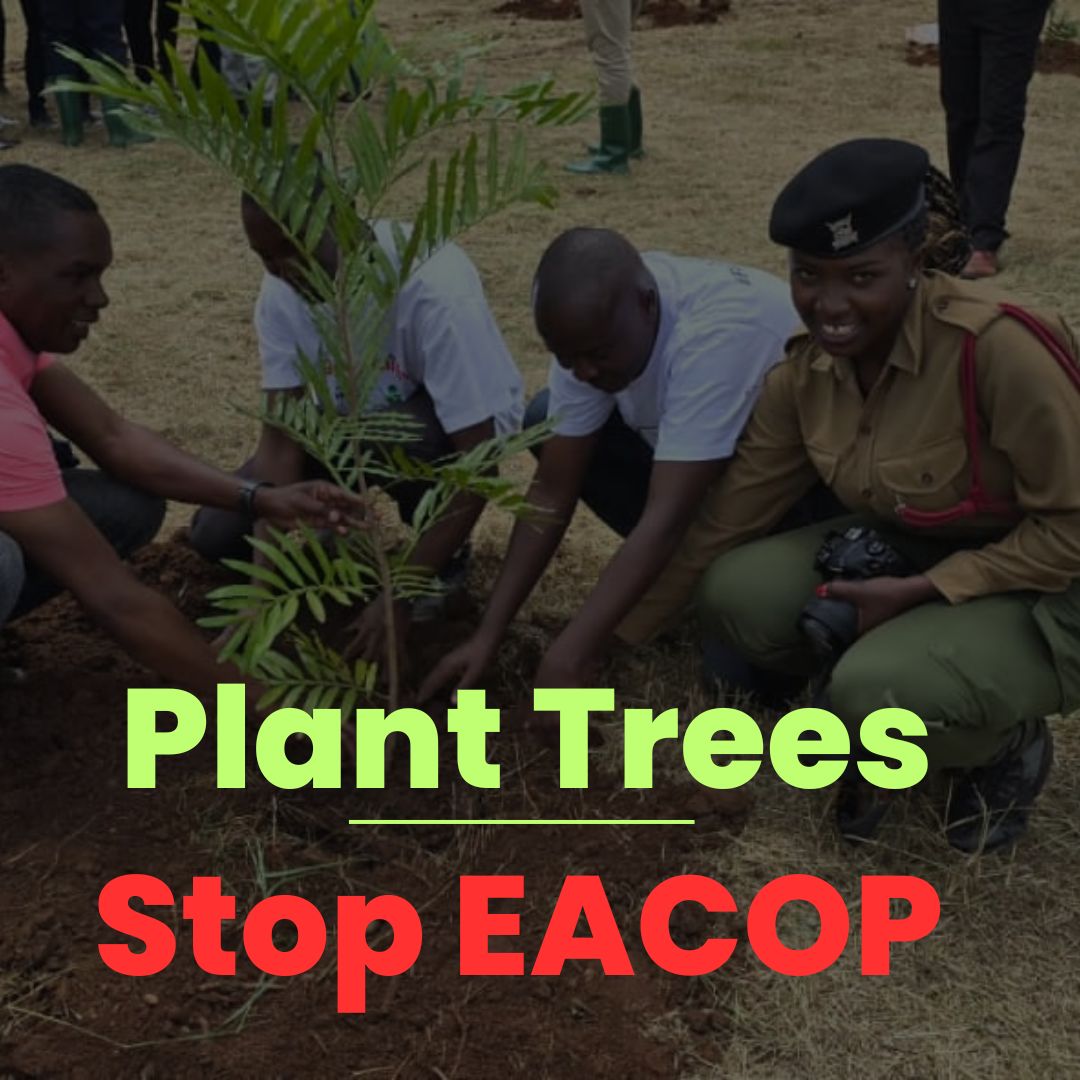Planting a tree is sadaqa!!! The Prophet Muhammad (S.A.W) was an advocate of tree planting during his time. Let's plant more trees and #StopEACOP #Faiths4Climate Follow @GreenFaith_Afr