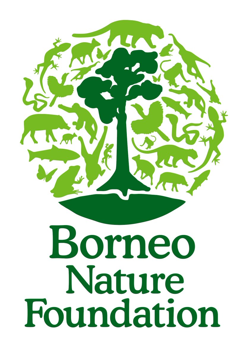 Job alert: Borneo Nature Foundation is looking for an operations support administrator bit.ly/3QHQRfC