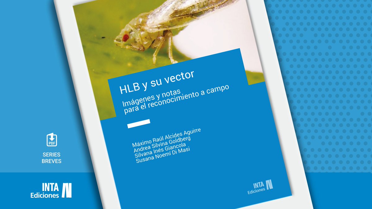 #EdicionesINTA Esta semana te acercamos esta guía sobre #HLB, el insecto vector y los benéficos, que aporta información para el monitoreo, la identificación y el manejo de la enfermedad. 📘Descargalo 👉 bit.ly/3JXBhsv