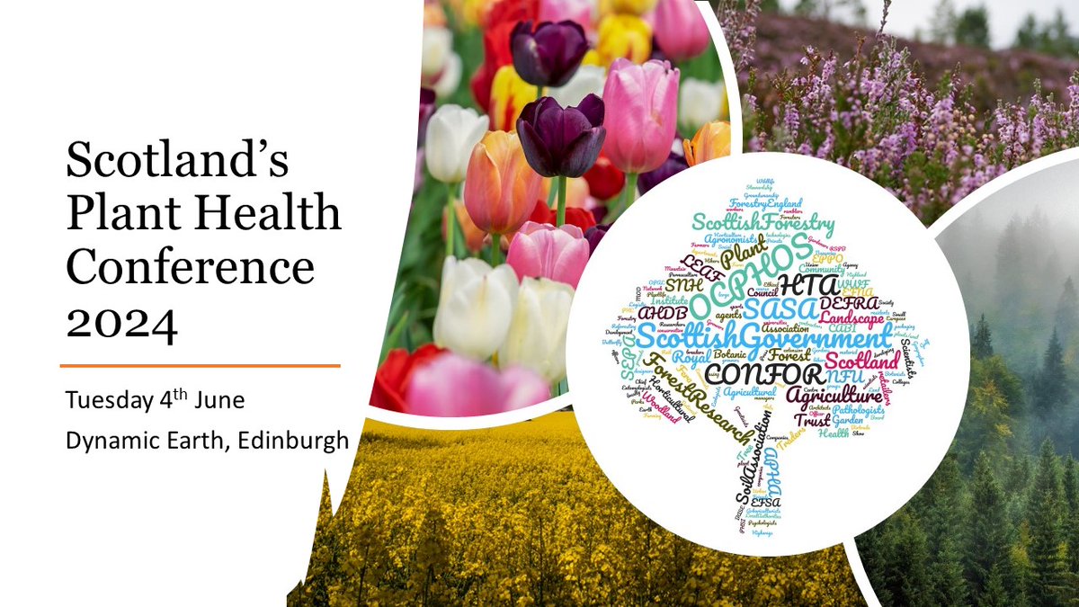 Scotland's Plant Health Conference is less than a month away! We have speakers from @scotforestry @RSB_PlantSci @ForestProtectUK @PlantHealthScot @ScotGovSASA @BIFoRUoB @JamesHuttonInst @SRUC