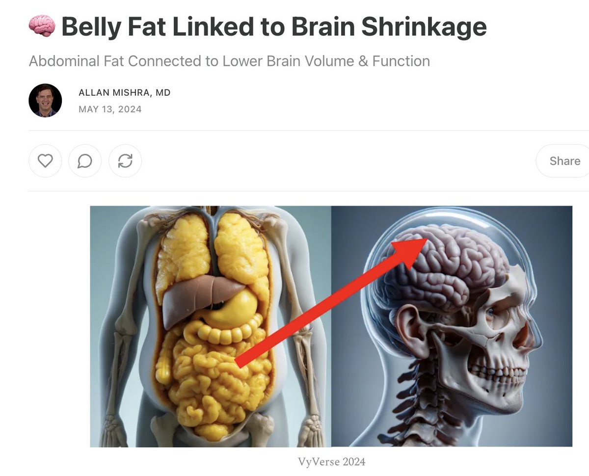 vytext.com/yeyn8yyu Belly Fat has been linked with Brain Shrinkage and Impair Thinking. 

This should hopefully scare us into eating less &amp; eating less often to reduce our abdominal fat.

#MondayMotivation #Obesity #VyVerse