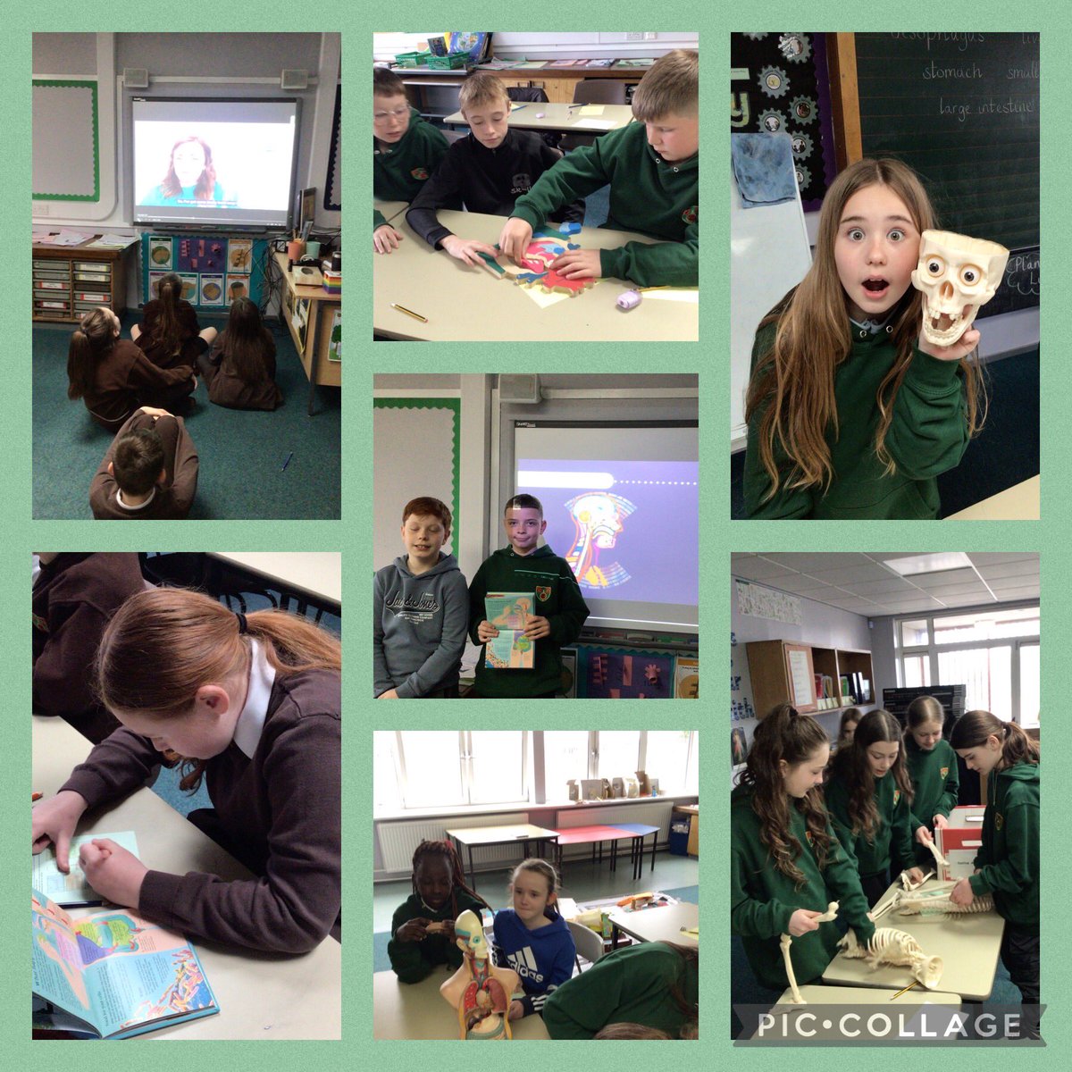 StMichaelsPNS's tweet image. A great start to our Glasgow Science Centre Bodyworks programme today! Our P7 and P6 pupils explored parts of the human body and learned about the digestive system #GSCLearningLab #GlasgowScienceCentre ￼#STEM