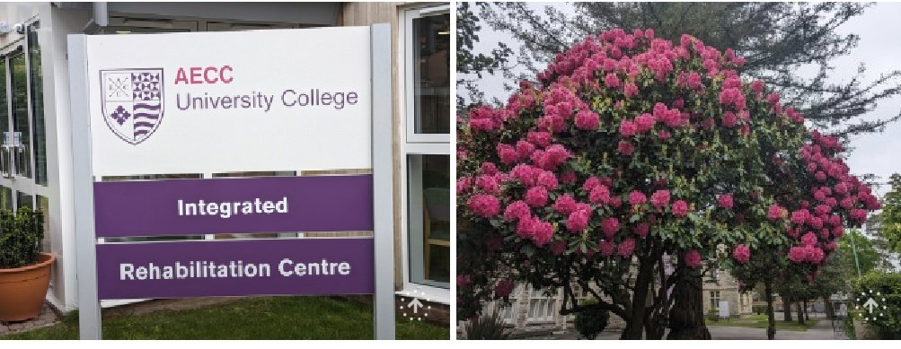 An enjoyable day teaching with the pre-reg MSc Podiatry students at @AECCUniversityC in Dorset, discussing viral skin infections and a practical session for certification with @swift_treatment at the clinical campus @emblation_ltd @RoyColPod @Martinfox2000 @krishpod7