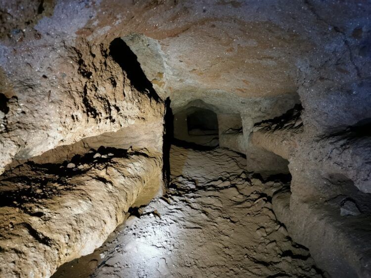 Nascosto tra l'Appia Antica e l'Appia Pignatelli si trova un vero gioiello dell'antichità: le catacombe ebraiche di Vigna Randanini, un luogo segreto e intatto che si può visitare raramente!
quartomiglio.rm.it/2024/05/alla-s…
#18maggio #romasotterranea #vignarandanini
