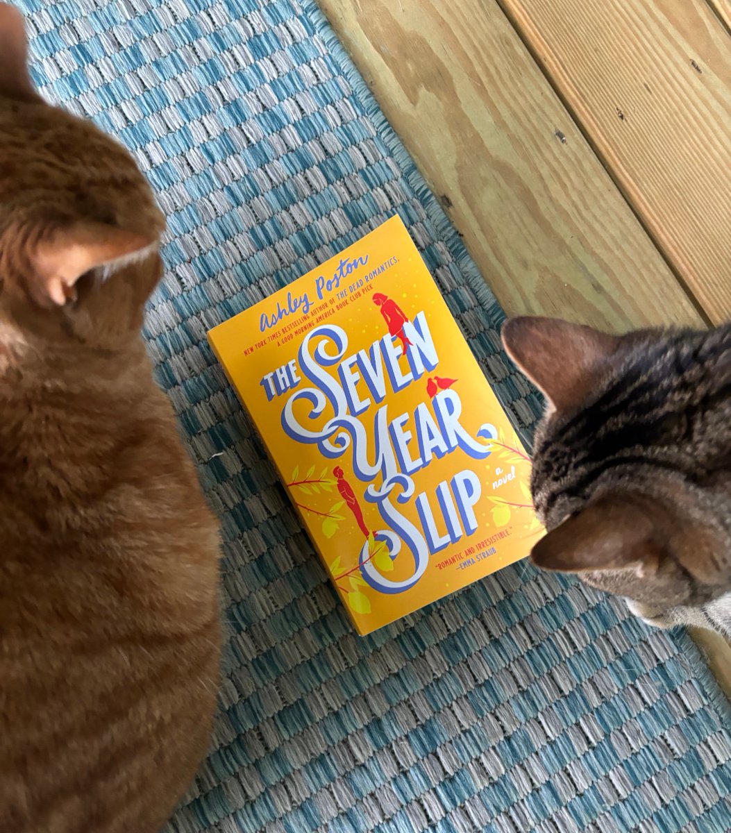 This #MeowMonday features The Seven Year Slip by Ashley Poston - a witty, time-bending rom-com from @ashposton! This follows a publicist who falls in love with a roommate... only to find that they are living seven years in the past. Have you read this one before?