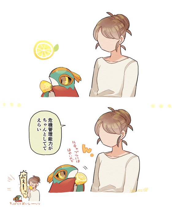 🍋と赤ちゃんルチャチャ 