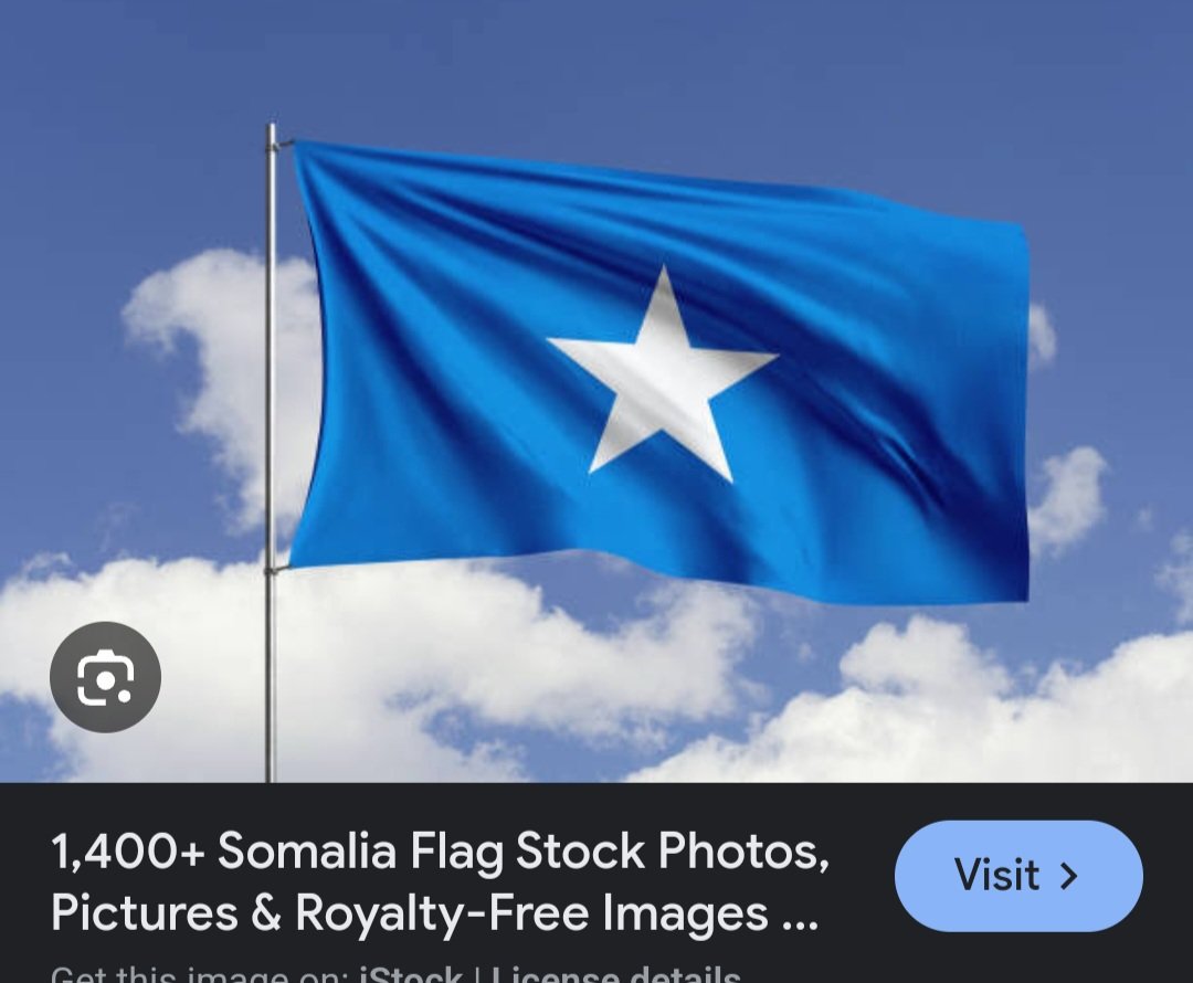 @therealmrdaddy1 To be clear, the old Minn Flag and Somali flag