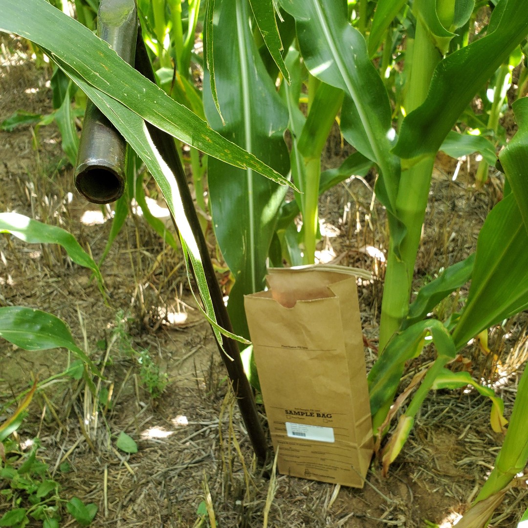 Deveron (@deveron) on Twitter photo 🌽 Optimize Corn Yield: Late Spring Soil Nitrate Testing + Tissue Sampling 🌱
📍available in Iowa, Nebraska, Minnesota, the Dakotas, Kansas, Missouri, and Illinois!
Contact Brandy Hodges to order, bhodges@deveron.com,712-215-8153
#NitrogenSampling #PrecisionAg #TissueSampling 🌽 Optimize Corn Yield: Late Spring Soil Nitrate Testing + Tissue Sampling 🌱
📍available in Iowa, Nebraska, Minnesota, the Dakotas, Kansas, Missouri, and Illinois!
Contact Brandy Hodges to order, bhodges@deveron.com,712-215-8153
#NitrogenSampling #PrecisionAg #TissueSampling