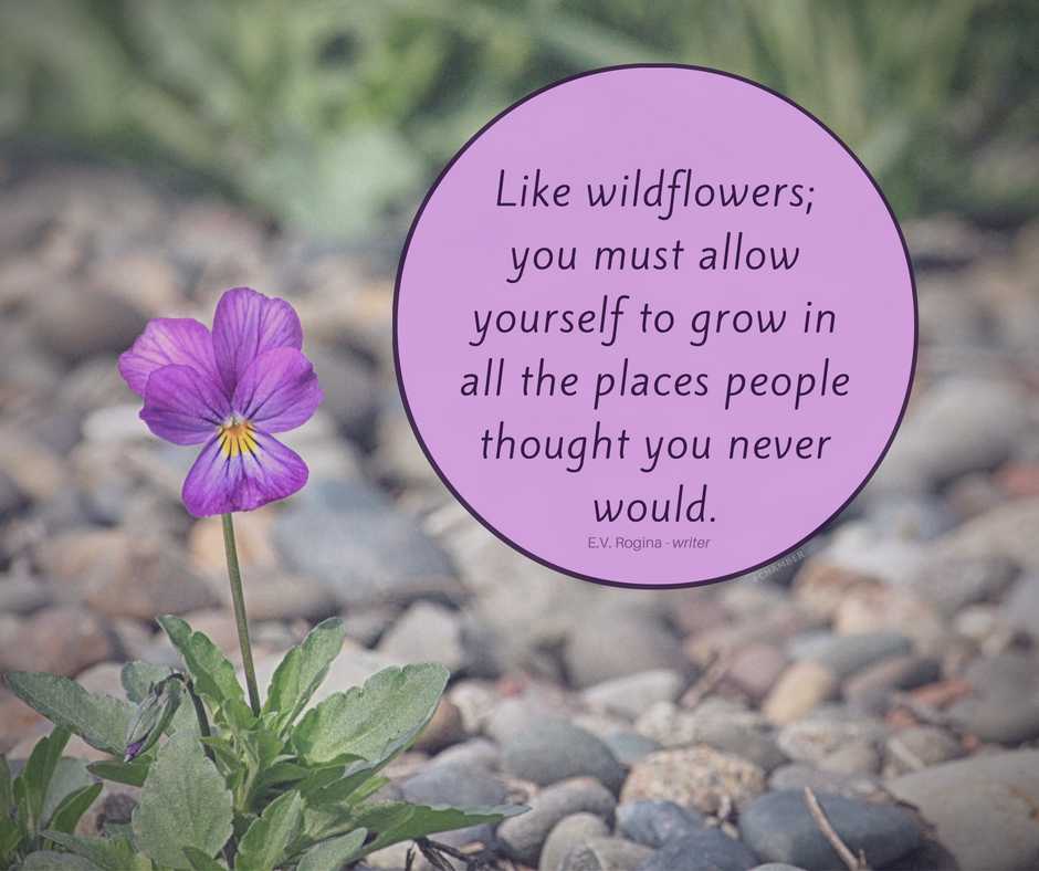 HeartFlorist's tweet photo. https://t.co/TkZ1UQMfvQ