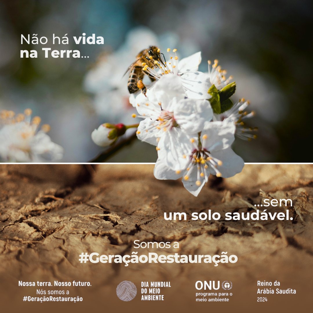 O solo é essencial para toda a vida na Terra. No entanto, a atividade humana está colocando em risco sua capacidade de sustentar a vida. O #DiaMundialdoMeioAmbiente é um lembrete de que todos nós somos a #GeraçãoRestauração, vamos agir como tal. bit.ly/DiaMundialMeio…