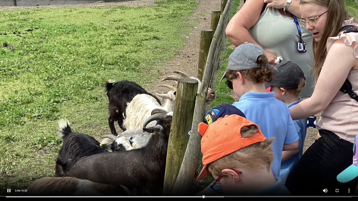 AshtonStThomas's tweet photo. Reception had a brilliant time @Smithillsfarm on Friday. They fed animals and took part in a donkey ride. We are so proud of them on their first ever school trip. #Farm #FeedingAnimals #SecureinFaithLearningTogether https://t.co/3PyVSb8Aij