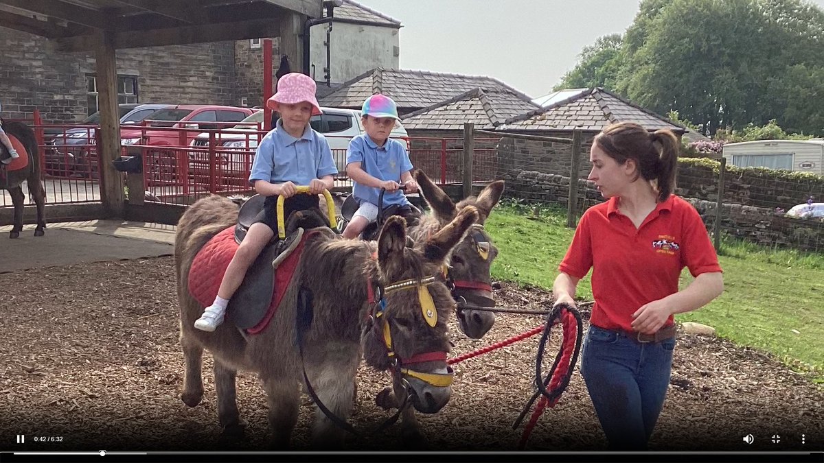 AshtonStThomas's tweet photo. Reception had a brilliant time @Smithillsfarm on Friday. They fed animals and took part in a donkey ride. We are so proud of them on their first ever school trip. #Farm #FeedingAnimals #SecureinFaithLearningTogether https://t.co/3PyVSb8Aij