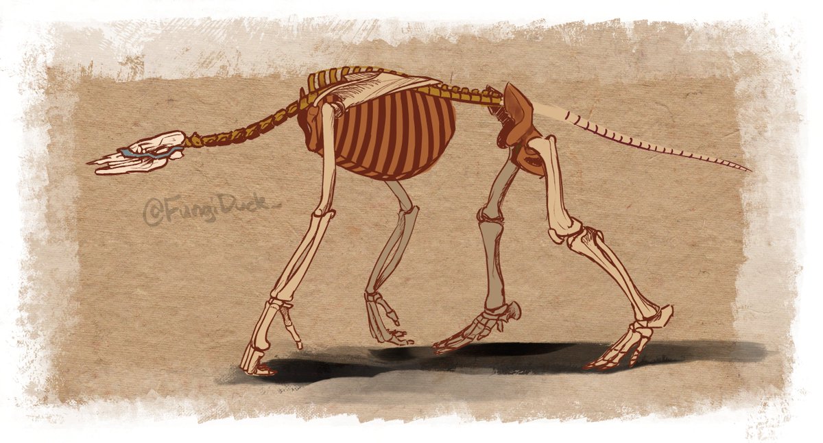 FungiDuck_'s tweet photo. creature design is fun. https://t.co/dTFDCHqq5l