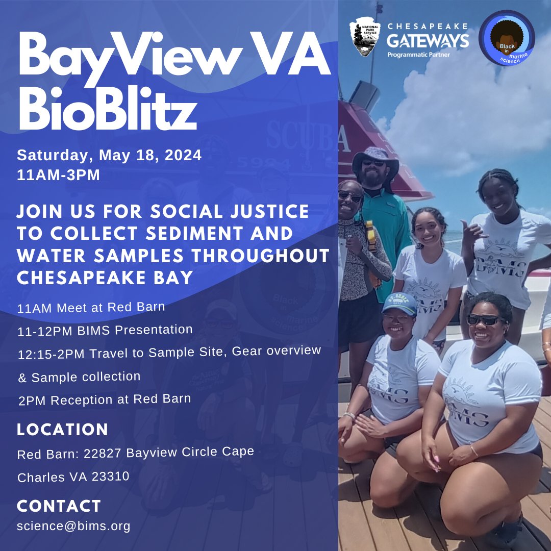 Reminder that we will be hosting a BioBlitz in Cape Charles, Virginia this Saturday on May 18th. This event is FREE and open to all. Hope to see you there! Reach out to science@bims.org with any questions. #BlackinMarineScience #OceanScience #MarineBiology #MarineScience