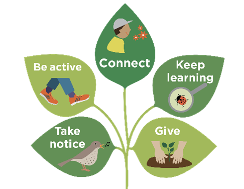 🐝 It’s #GreenHealthWeek and #MentalHealthAwarenessWeek, so we’re championing the positive impact being active in nature can have physically and mentally. These 5 Ways to Wellbeing in Nature leaves are a great starting point for inspiration.💡 orlo.uk/oRdzU