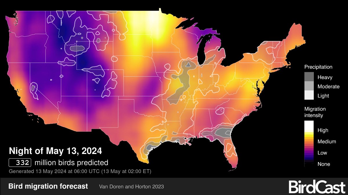 Who’s passing over your house tonight? It’s peak spring migration in North America right now🕊️-- a good reason to turn off your lights at night! Learning about your own city is a first step to learning about the world #NatureAndOurCities #DarkSkies birdcast.info/migration-tool…