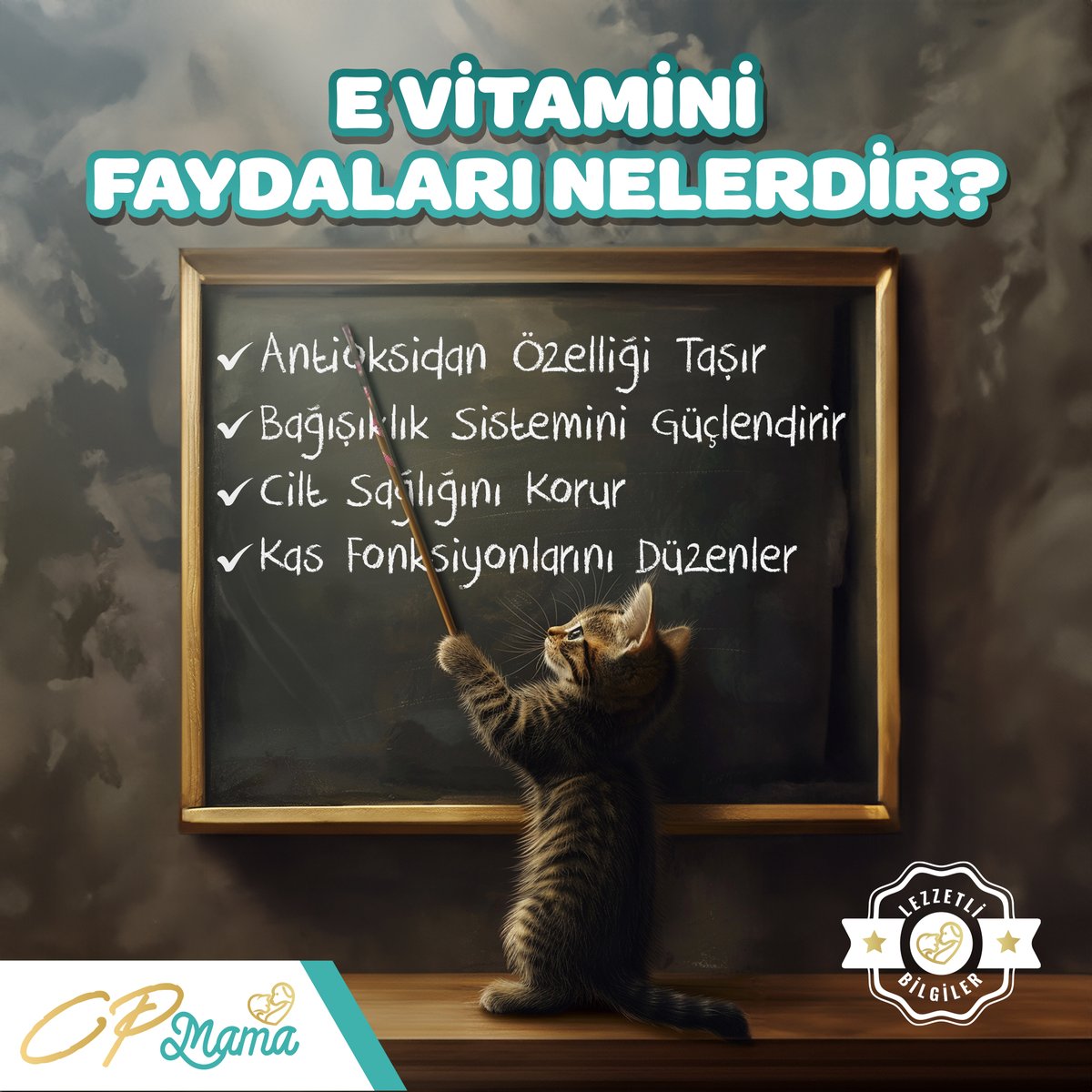 JINNY Kedi mamalarında sıklıkla karşılaştığımız E Vitamini, kedilerin bağışıklık sistemlerinde önemli rol oynarken cilt sağlığını korur ve kas fonksiyonlarını da düzenler! 🐈

#cpmama #lovecpmama #evcilhayvan #pet #kedimaması #köpekmaması #kedi #köpek