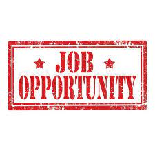 We are looking for a new English Teacher for September. 
This post can be fulltime or 0.8, with a TLR (Literacy Lead) also available, if interested in middle leadership.  
Application deadline is 20th May. 
Details here:
millfield.lancs.sch.uk/wp-content/upl…
