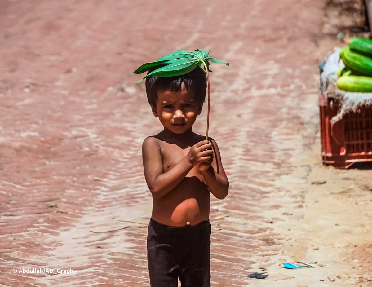 To avoid the extreme heat and heatwaves, a Rohingya young girl wears a leaf on her head. It proves how these new generations are affected by climate change. #Rohingya #younggirl #generation #climatechange #heatwave2024 #photography #documentary #storytelling