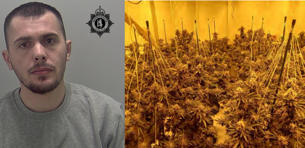 #JailedInWarwickshire Balla Belul has been jailed after officers discovered a cannabis grow with a street value of more than £70k at his house in Clarendon Avenue, #Leamington. warwickshire.police.uk/news/warwicksh…