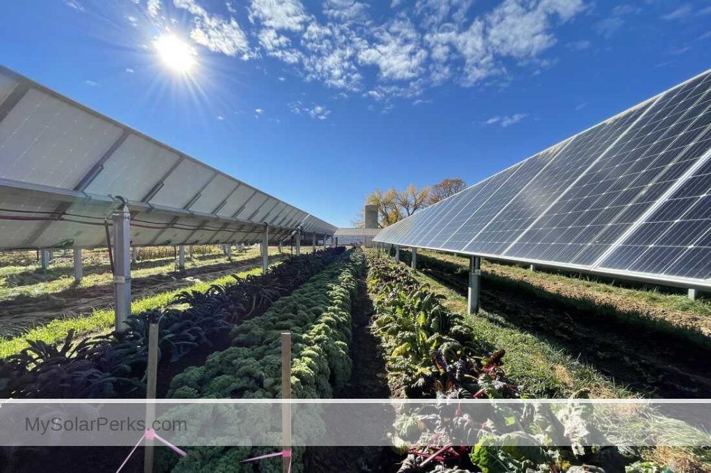 Enhancing Sustainability on Farms Through Solar (2024) buff.ly/3ysdSwI