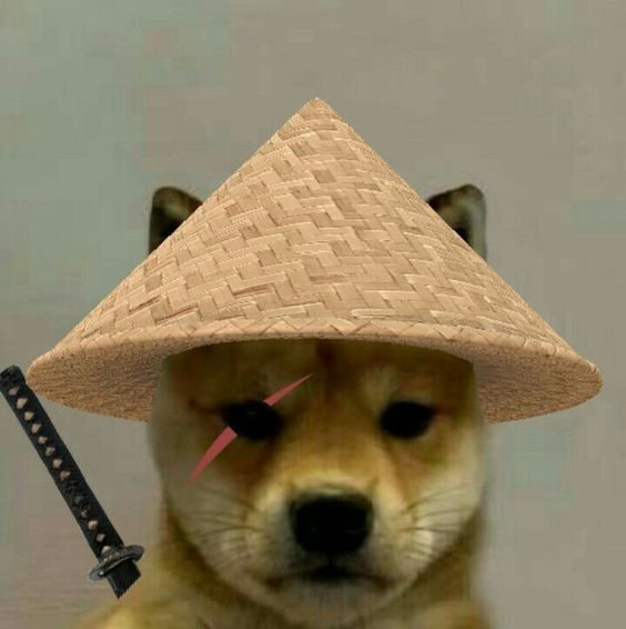 Dogwifhats_sol's tweet photo. I just saw some action in japanese alpha about us. So Japanese investors you are welcome

$HATS $SOLANA $SOL #SOLANA $WIF $GME https://t.co/ukKmRECZJf