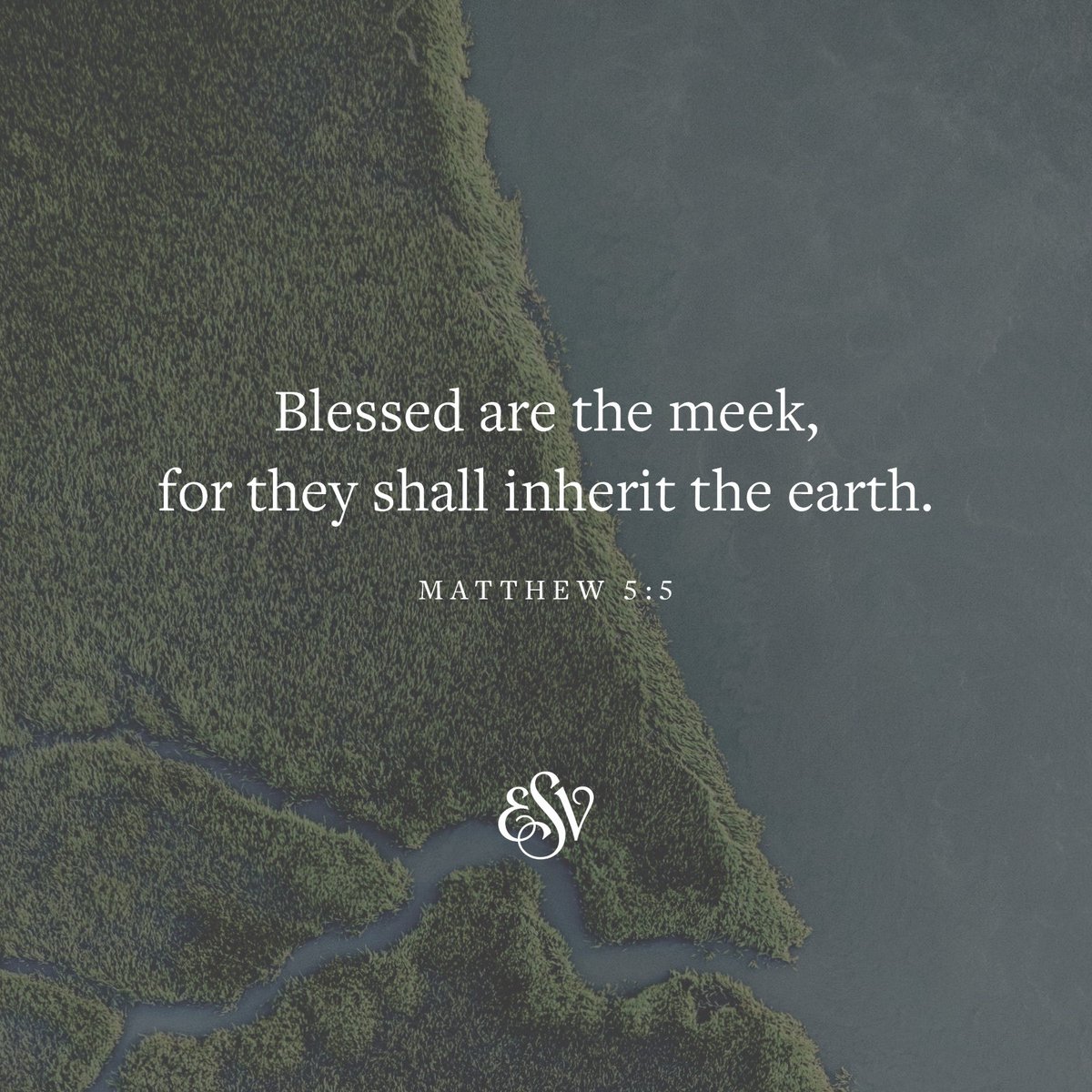 Blessed are the meek, for they shall inherit the earth. 
—Matthew 5:5 ESV.org

#Verseoftheday #ESV #Scripturememoryverse #Bible