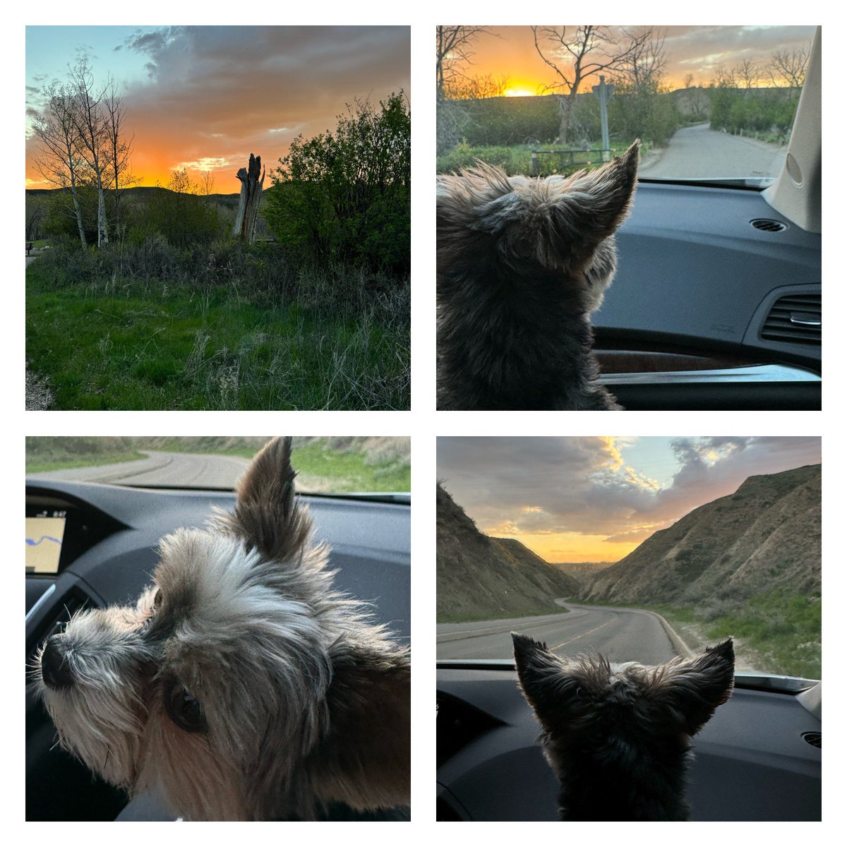 Gio. Happy Monday morning. Last was spectacular watching the sun set by the river 🫶🏼🥰💕💙#beautifulsunset #MondayMorning