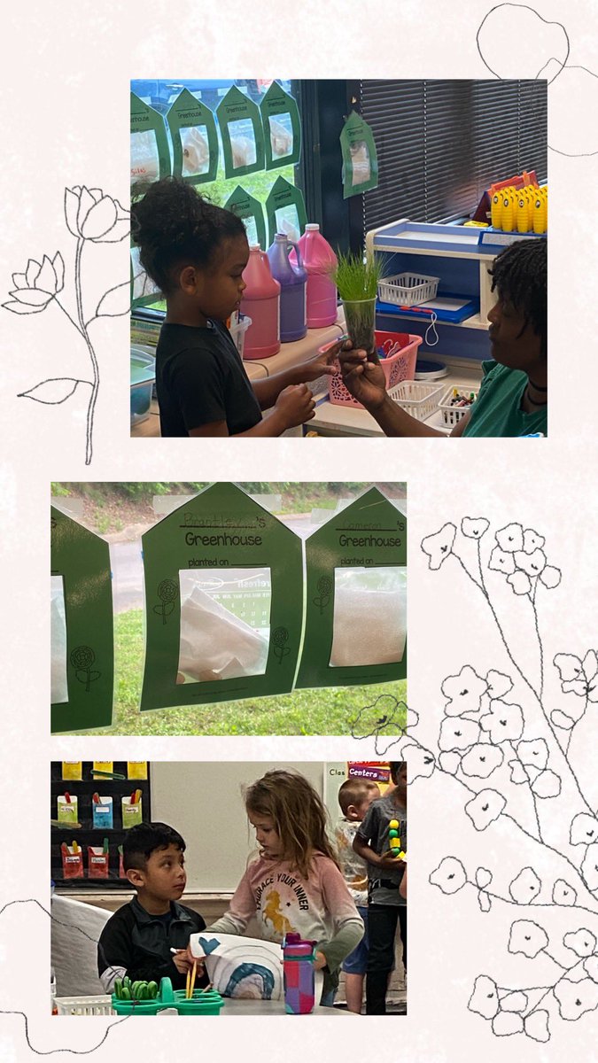 Mrs. Roschelle’s PreK are sequencing the steps to growing their plants, observing their progress, and documenting in a journal! #futurehorticulturalists #theyaregrowing @Desbears @DCS_TN @DCSTN_PreK