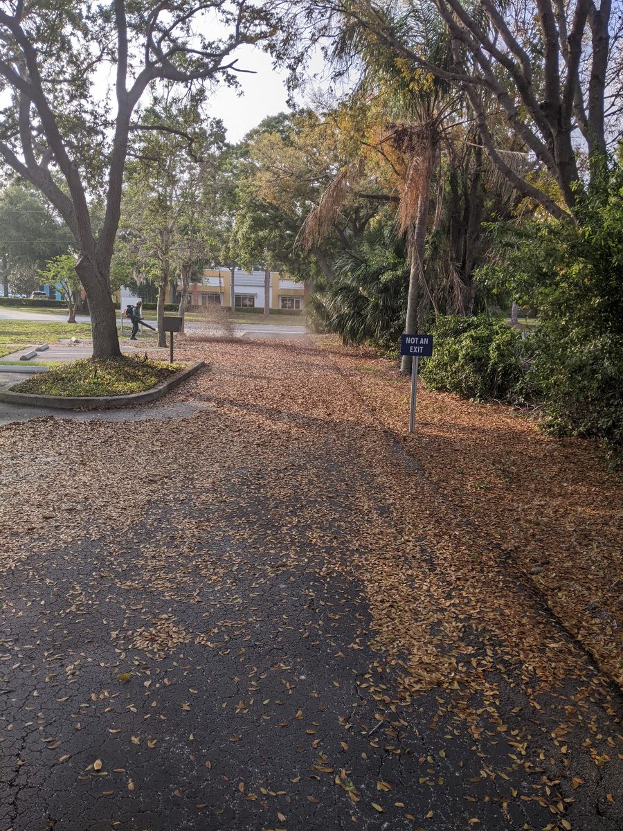 Leaves Everywhere! If you need a leaf cleanup contact us today to get on the schedule! Have a great week everyone!

#sarasotalawncare #sarasotalandscape #sarasotalandscaping #lawnmaintenance #mulch #sarasota #hedge #shrubs #grass #green #value #landscape #lawncare #lawn