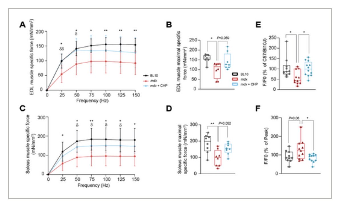 A beautiful collaboration with Alessia De Masi, PhD from Prof. Auwerx’s lab at EPFL, published in Advanced Science !

We have shown a protective effect of Cyclo Histidine-Proline against muscle dysfunction in mdx mice.

Congratulations 🎊 to Alessia and the whole team ! 👏🏽👏🏽👏🏽