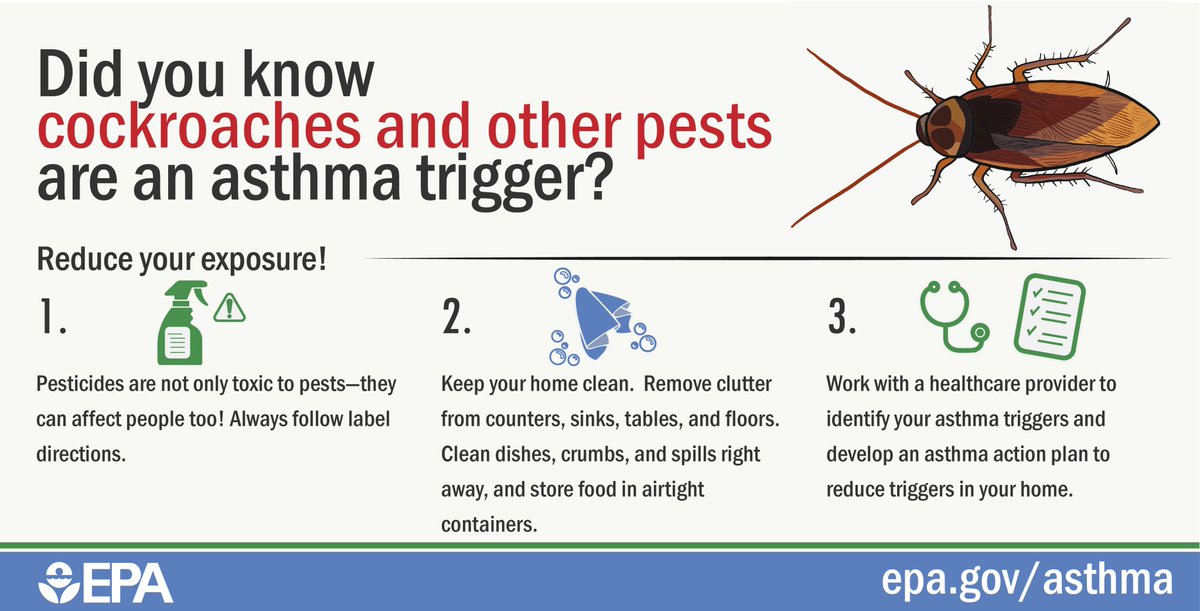 DYK cockroaches can be an #asthmatrigger? The saliva, feces and shedding body parts of cockroaches can trigger both asthma and allergies. Even dead ones can cause an allergic reaction. #cantonhealth #asthmatriggers #AsthmaAwarenessMonth #asthma
