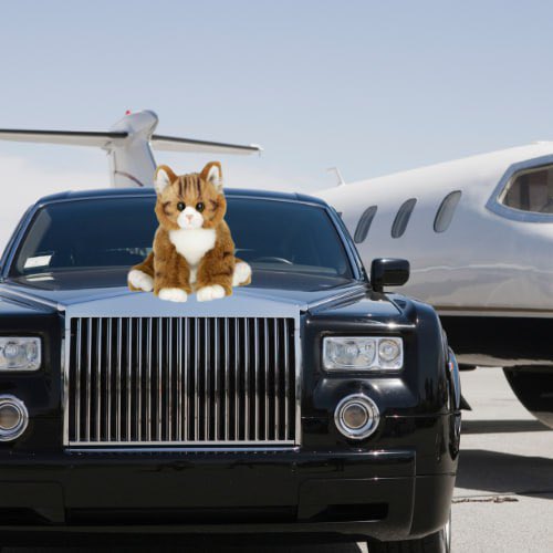 My daddy Keith Gill spoils me hihi. This rolls was a birthday gift. You can soon buy one as well with $Manny 💝