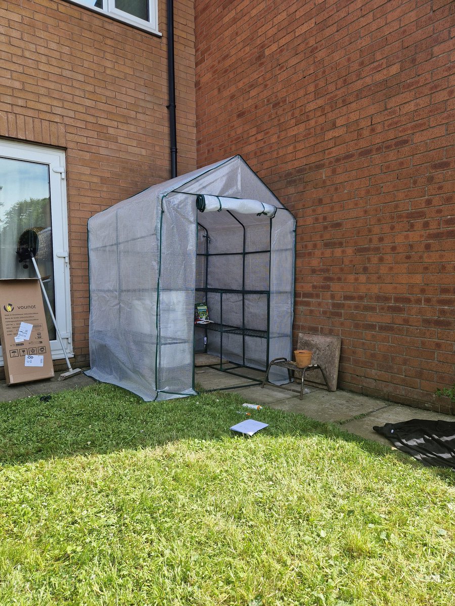 rain__hell's tweet photo. i built a fckn greenhouse that's 6ft 2in as a crippled 5ft4in person and I'm on TOP OF THE WORLD https://t.co/npa8JopFhp