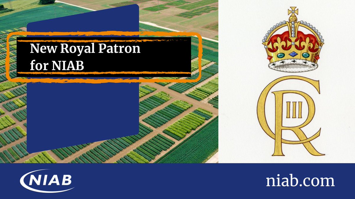 Following the recent review of Royal Patronages undertaken by the Royal Family, NIAB can announce that His Majesty King Charles III will become NIAB’s new Patron ➡️ ow.ly/A1KQ50REnKT