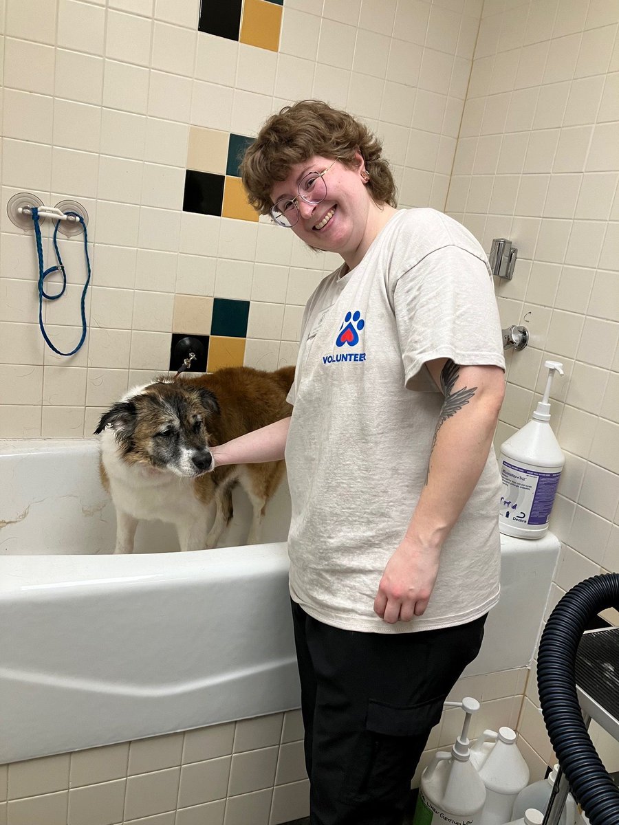 Monday is a perfect day for a refresh! Carolyn is a professional dog groomer who donates their time to spiff up the pets. The pets wanted to give plenty of cuddles and kisses to them for all their love and care! Thank you, Carolyn!