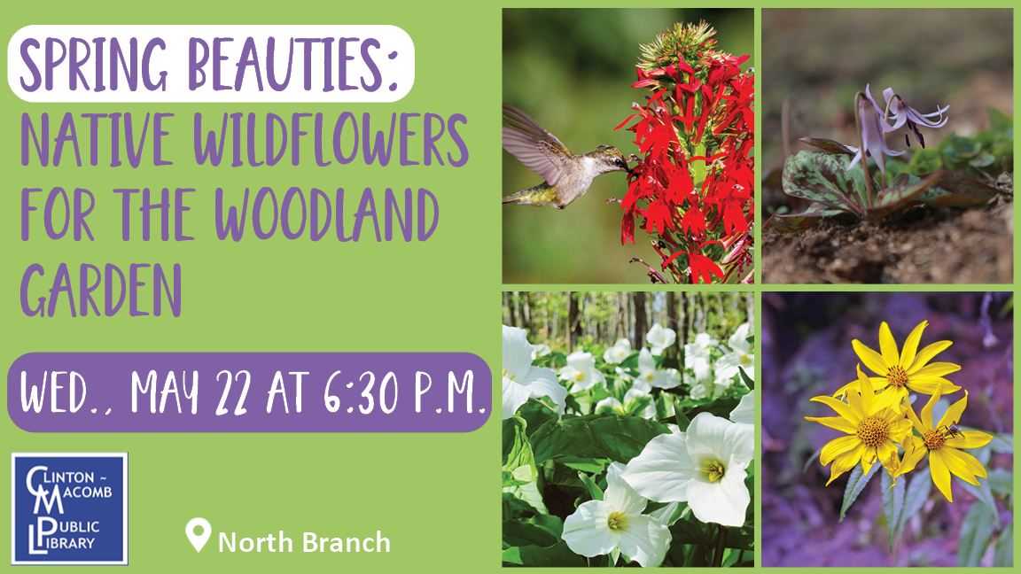 Let's decorate our garden with Spring Beauties! Wondering how? Attend the presentation by Cheryl M. English, a certified advanced Master Gardener to learn more about native alternatives for the spring garden. Call (586) 226-5083 or register here: cmpl.libnet.info/event/10328474