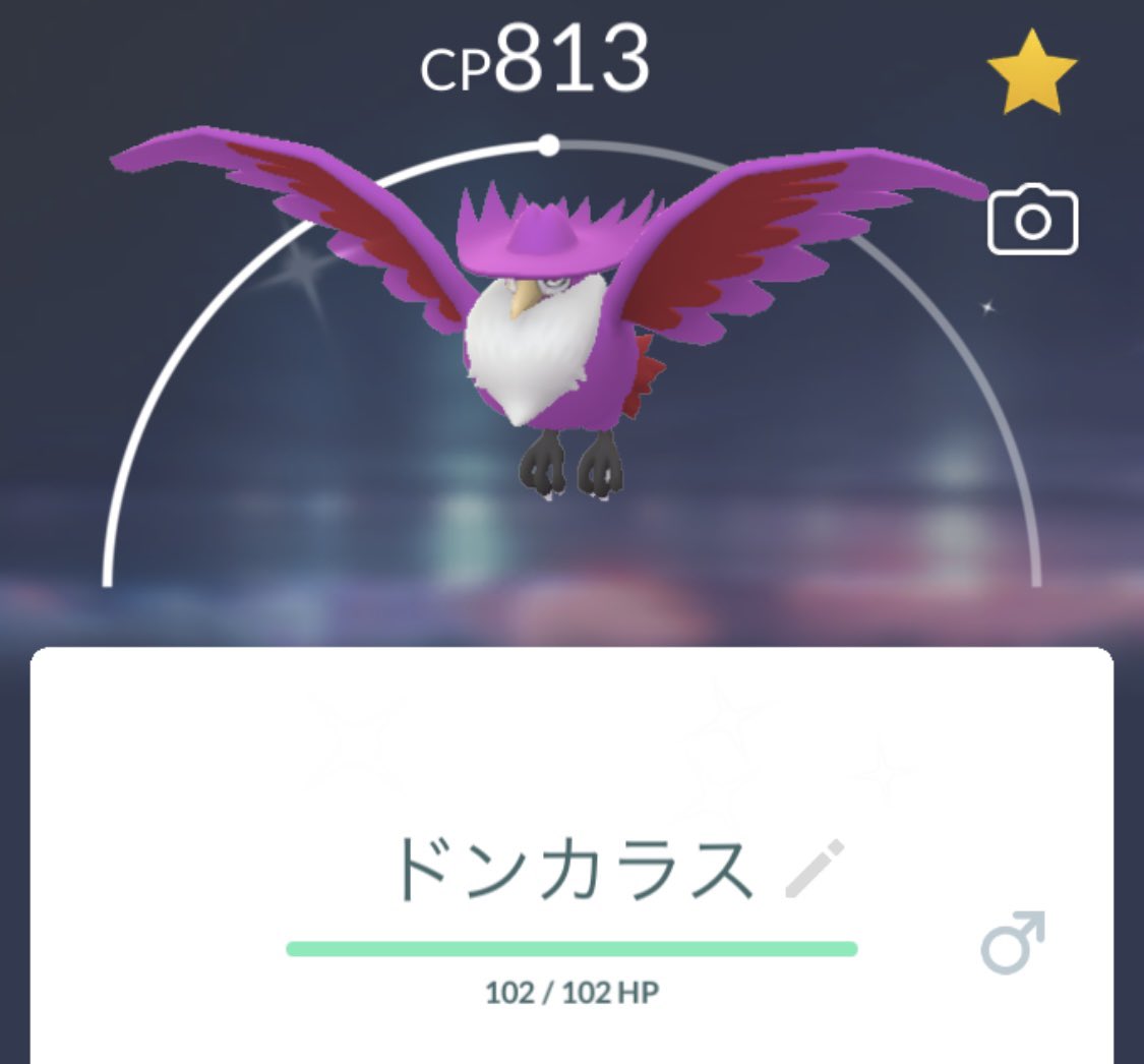 ドンカラスに進化させました！✨
#ポケモンGO