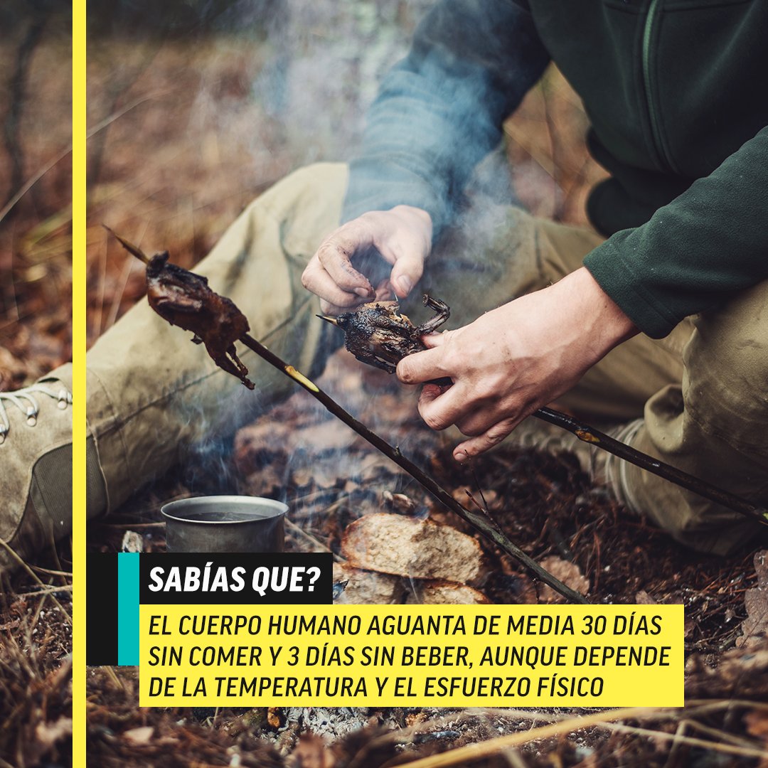 AMCBreakES's tweet image. Los nuevos episodios de #Alone ya te están esperando en AMC SELEKT ⛰️