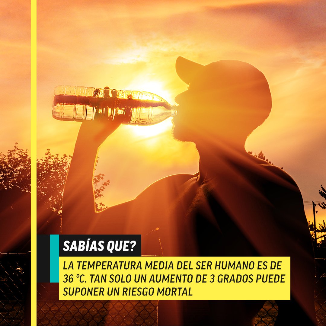 AMCBreakES's tweet image. Los nuevos episodios de #Alone ya te están esperando en AMC SELEKT ⛰️