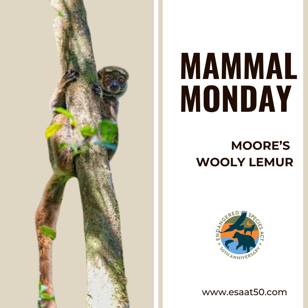 ESA at 50 tweet media