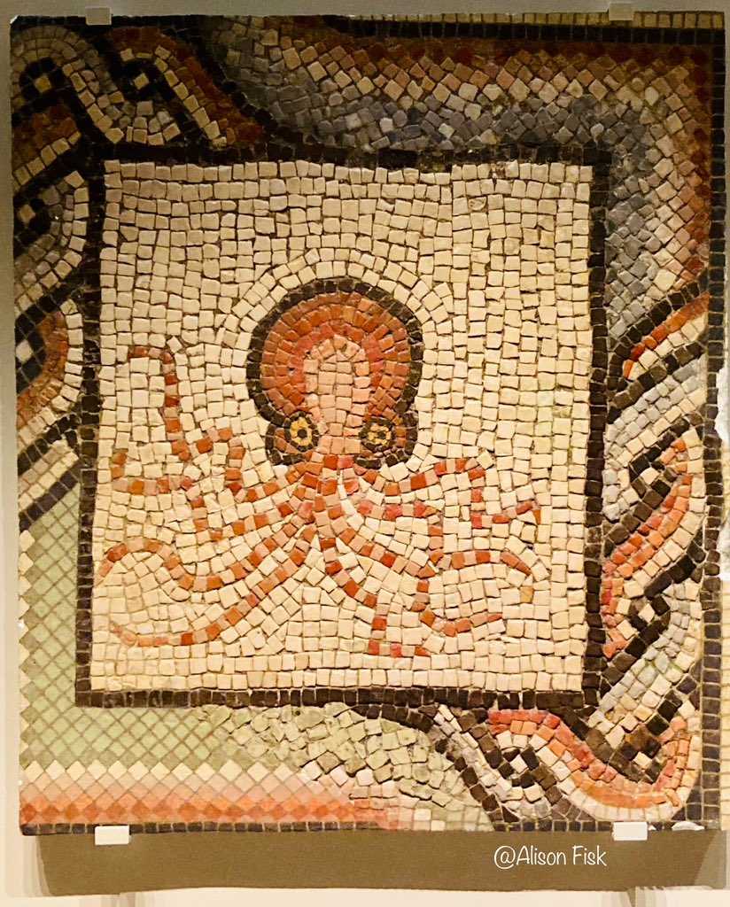 A charming little octopus from a Roman villa at Villaquejida, Spain, 2nd-3rd century AD. Museo Arqueológico Nacional, Madrid. 📷 my own

#MosaicMonday
#Archaeology