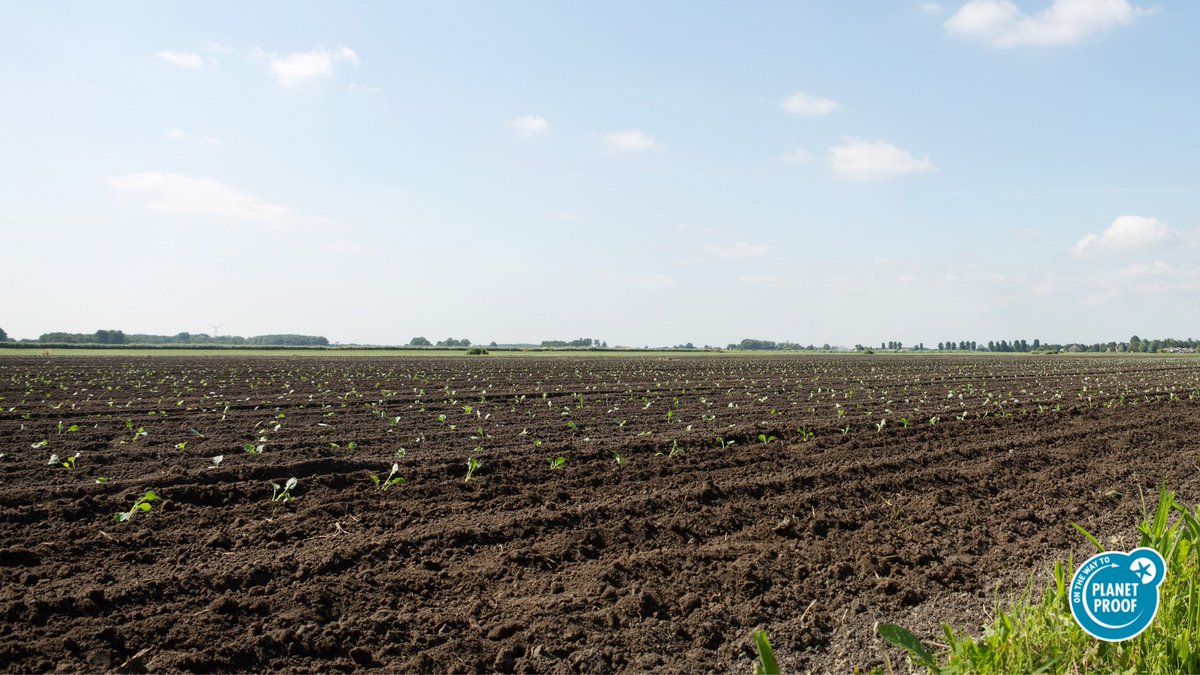 Het is de On the way to PlanetProof Week! 
Vandaag staat in het teken van bodemkwaliteit &amp; bemesting. De focus op een goede bodemkwaliteit, het stimuleren van rustgewassen en efficiënte bemesting, zorgt voor gewas met minder emissies.
#Bodemgezondheid #planetproofweek2024